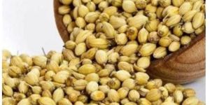 Coriander Seeds