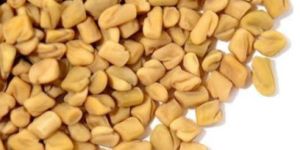 Fenugreek Seeds