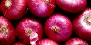 Red Onions