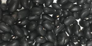 Black Kidney Beans