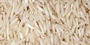 1509 Non Basmati Rice