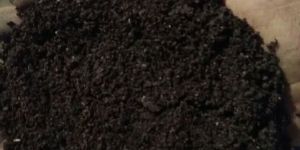 Vermicompost