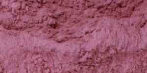 Dehydrated Red Onion Powder