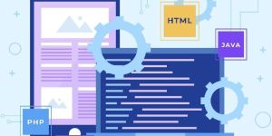 Custom Web Application Development Services