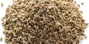 Ajwain Seed
