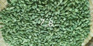 Green Cardamom 8mm