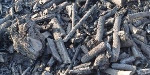 Wood Charcoal