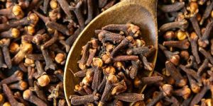Clove