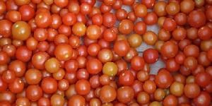 Cherry Tomato