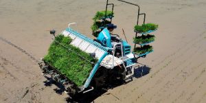 Kubota Rice Transplanters