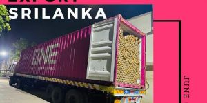 Export Paper Core , Paper Tube