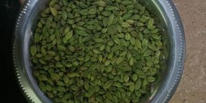 Organic Green Cardamom