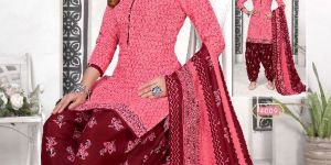 4009 Colorful Patiala Salwar Suit