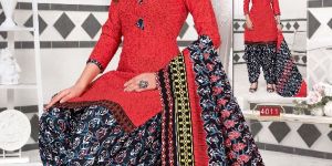 4011 Colorful Patiala Salwar Suit