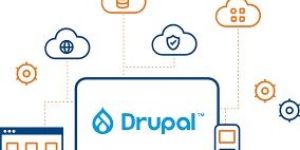 Drupal Web Development Service
