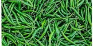 Green Chilli g4