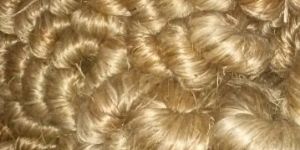 Jute Raw Material