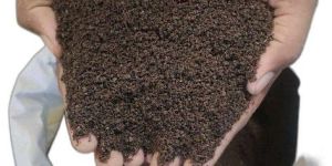 Vermicompost Powder