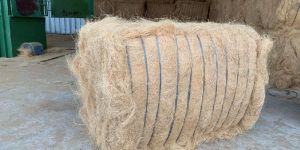 White Coir Fibre Bales