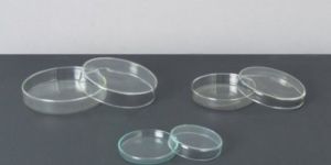 Glass Petri Dish