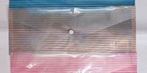 My Clear Bag Document Folder (Lining Print)