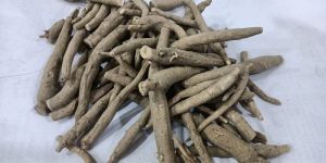 Ashwagandha Roots