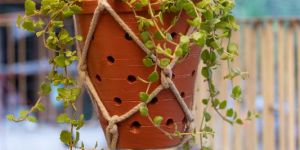 Terracotta Balcony Garden Planter Indoor Planter