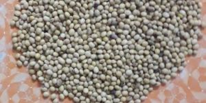 Soyabean Seeds