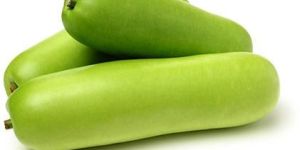 Fresh Bottle Gourd