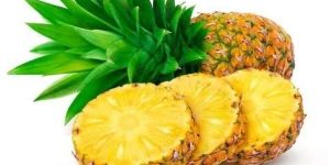 Fresh Pineapple