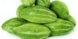 Fresh Pointed Gourd