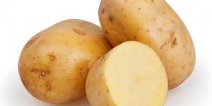 Fresh Potato