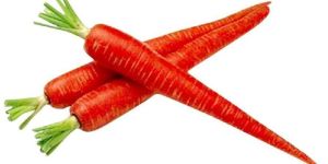 Fresh Red Carrot
