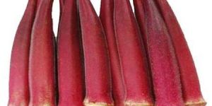 Fresh Red Okra