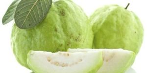 Fresh White Guava