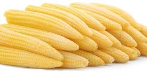 Frozen Baby Corn