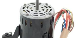 Blower Motor
