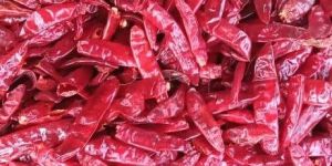 S4 334/S10 Red Chilli Stemless