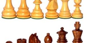 Wooden Chess Coins