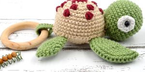 Turtle Toy