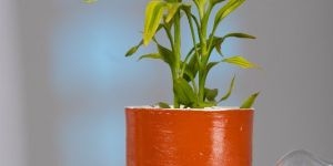 Natural Clay Self-Watering Planter