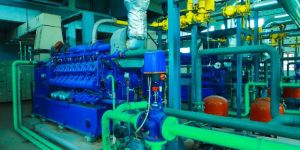 Biomass Gasification Power Plant