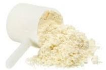 MANGO PROTEIN POWDER