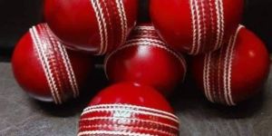 Leather Cricket Balls