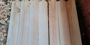 English Willow Cricket Bat