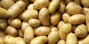 Potatoes