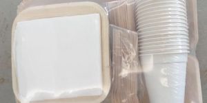 Areca Leaf Party Set