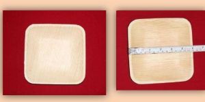 SD 06 Areca Leaf Square Deep Plates