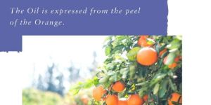 Orange Essential Oil