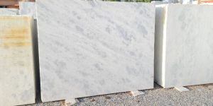 Spotted Marble Rajnagar